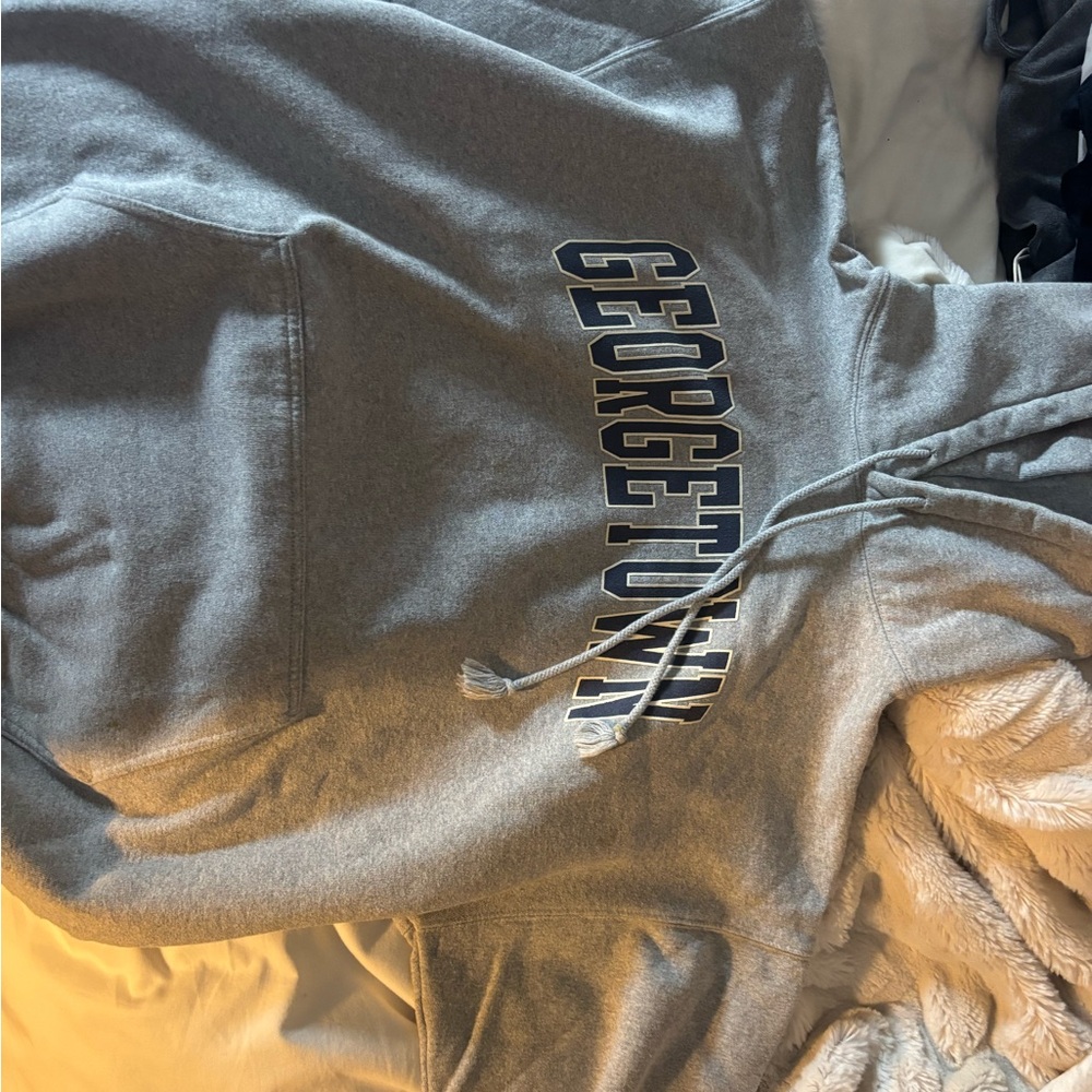 Brandy Melville John Galt Gray Georgetown Hoodie